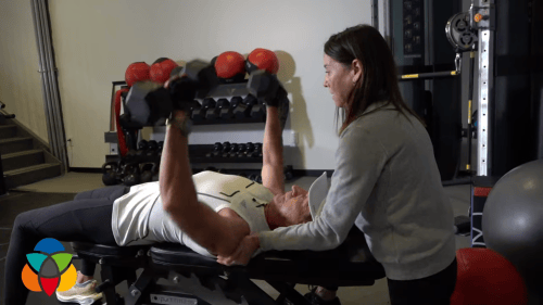 BLOG MUSCLE